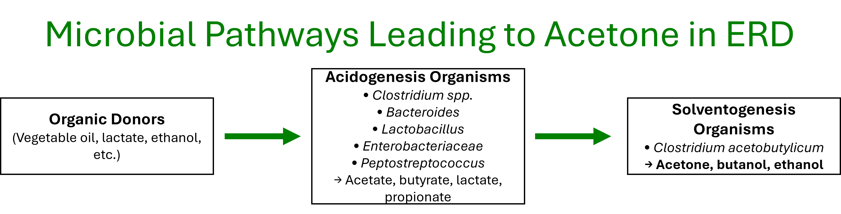 Pathways Leading to Acetone